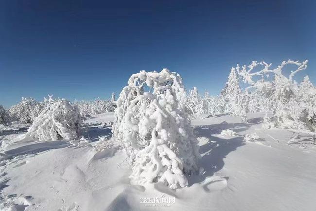 达州凤凰山下雪了吗?达州今日天气情况-图2 达州凤凰山下雪了吗?达州今日天气情况-图2
