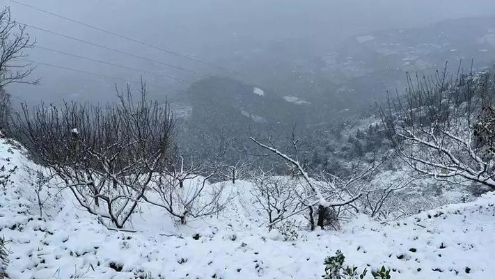 达州凤凰山下雪了吗?达州今日天气情况-图3 达州凤凰山下雪了吗?达州今日天气情况-图3
