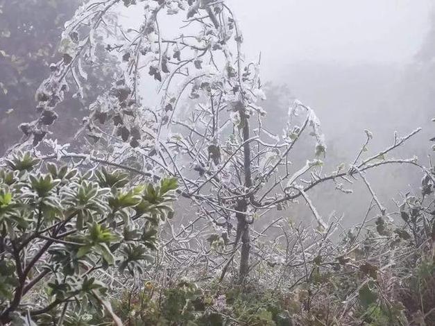 灵山东山结冰了吗?东山温度天气情况-图2 灵山东山结冰了吗?东山温度天气情况-图2