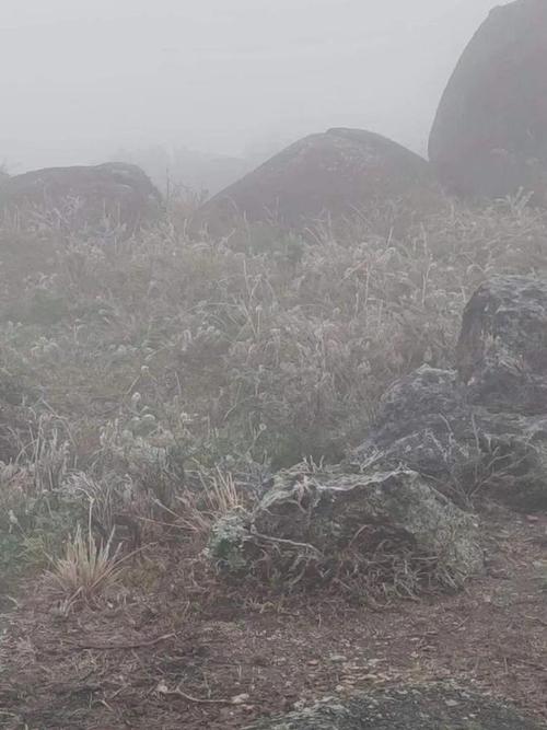 灵山东山结冰了吗?东山温度天气情况-图3 灵山东山结冰了吗?东山温度天气情况-图3