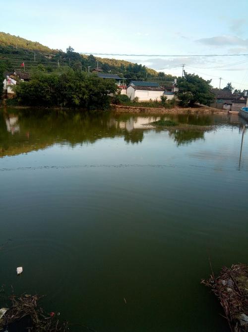 保山与瑞丽接壤吗？保山隆阳区天气情况-图3
