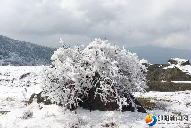 2022湖南邵阳会下雪吗?武冈过年天气情况-图3 2022湖南邵阳会下雪吗?武冈过年天气情况-图3