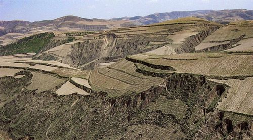 吴起县的土壤是什么土?陕西吴起天气情况-图1 吴起县的土壤是什么土?陕西吴起天气情况-图1