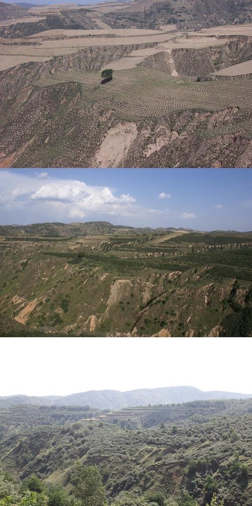 吴起县的土壤是什么土?陕西吴起天气情况-图3 吴起县的土壤是什么土?陕西吴起天气情况-图3