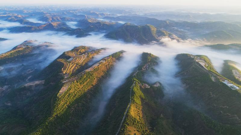 吴起县的土壤是什么土?陕西吴起天气情况-图2 吴起县的土壤是什么土?陕西吴起天气情况-图2