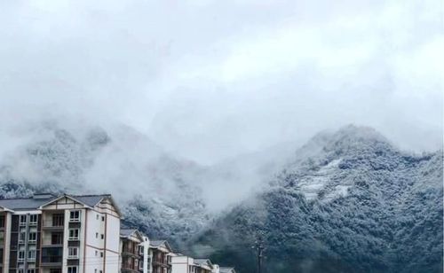 重庆哪里下雪了?城口天气情况-图2 重庆哪里下雪了?城口天气情况-图2