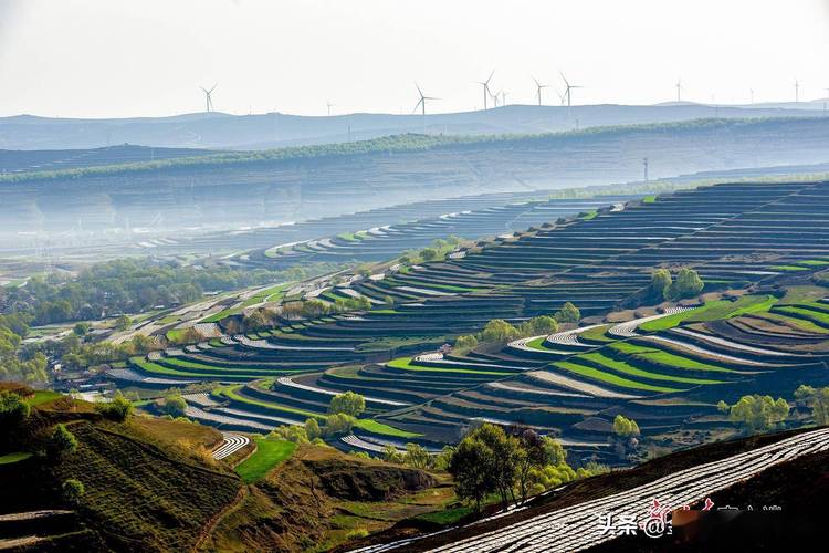 通渭到毛店的班车几点发?通渭春节天气情况-图2 通渭到毛店的班车几点发?通渭春节天气情况-图2