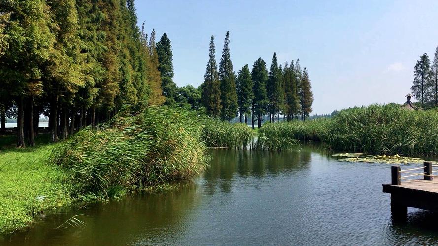 淀山湖湿地地理特征？青浦淀山湖天气情况