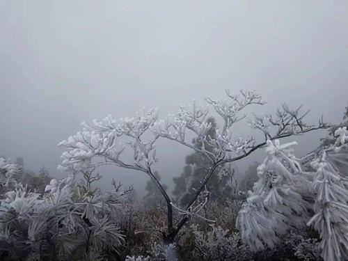 邵东会下雪吗?邵东近年天气情况-图3 邵东会下雪吗?邵东近年天气情况-图3