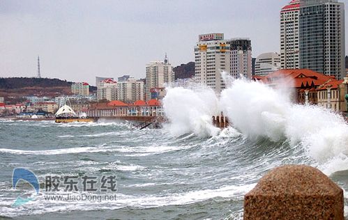 什么是滨海环境?滨海的天气情况-图3 什么是滨海环境?滨海的天气情况-图3
