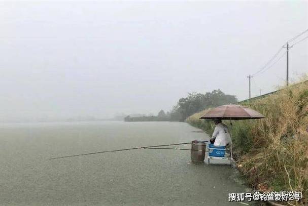 天气突然降温适合钓黄金鲫吗?黄金当地天气情况-图3 天气突然降温适合钓黄金鲫吗?黄金当地天气情况-图3