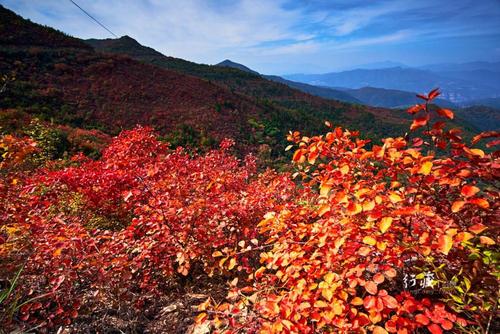 渑池昭山红叶最佳观赏时间？渑池最近天气情况