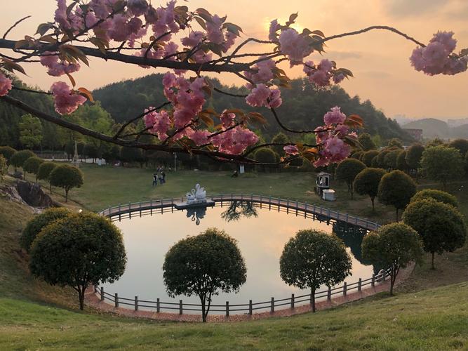 邵东樱花开了吗?邵东下午天气情况-图2 邵东樱花开了吗?邵东下午天气情况-图2