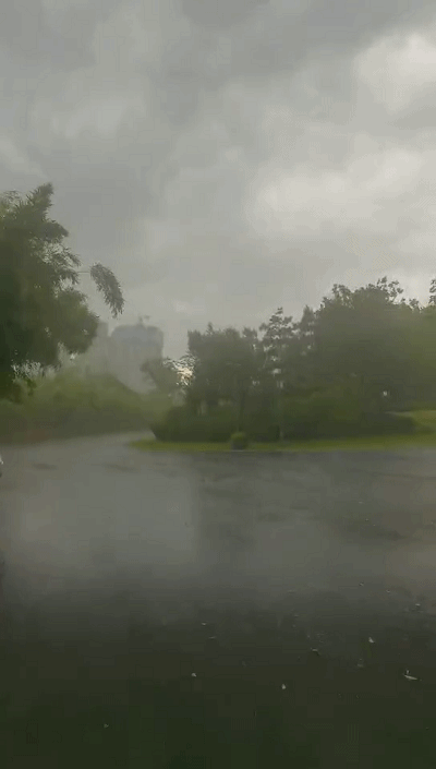 西安未央区下雨了吗?高陵区天气情况-图3 西安未央区下雨了吗?高陵区天气情况-图3