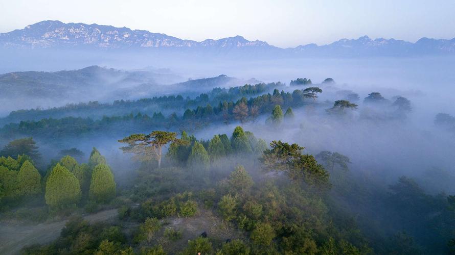 渭南十大避暑地方?卧龙山天气情况-图2 渭南十大避暑地方?卧龙山天气情况-图2