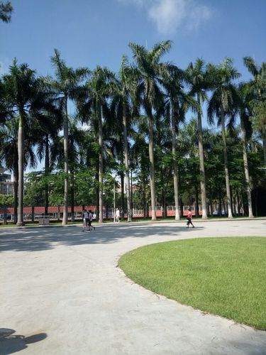 中山大学在广州哪个区?广州中大天气情况-图2 中山大学在广州哪个区?广州中大天气情况-图2