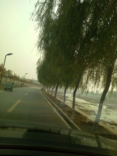 邹平有哪些山？邹平的天气情况-图2