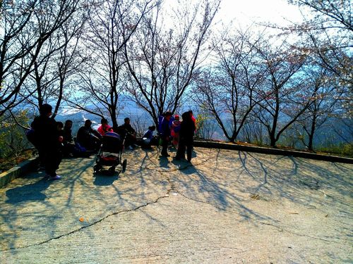 邹平有哪些山？邹平的天气情况-图3