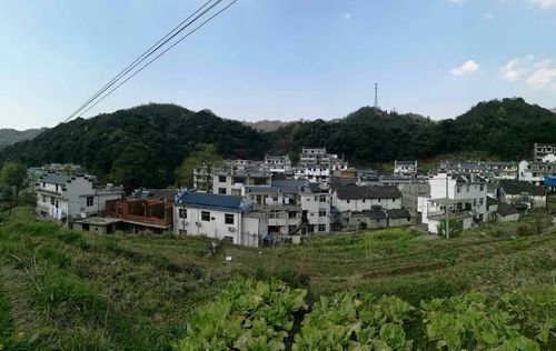 安徽石台大山村冬天冷吗?明天石台天气情况-图2 安徽石台大山村冬天冷吗?明天石台天气情况-图2