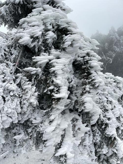 南岳衡山24号还有雪吗?长沙衡山天气情况-图1 南岳衡山24号还有雪吗?长沙衡山天气情况-图1