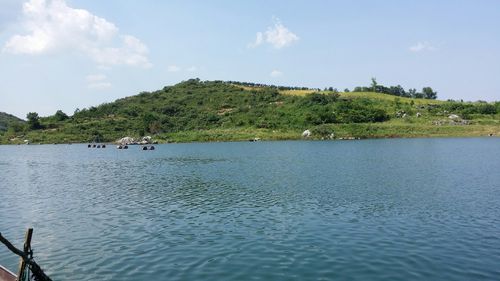 河南省周口市自然环境和植被?周口川汇区天气情况-图3 河南省周口市自然环境和植被?周口川汇区天气情况-图3