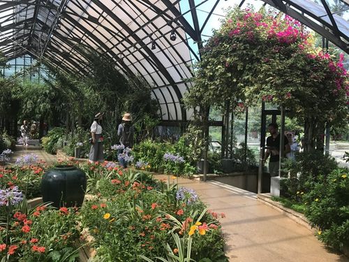 东花园气候湿润原因?东花园天气情况-图3 东花园气候湿润原因?东花园天气情况-图3