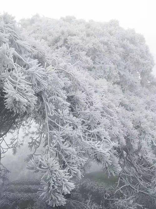 连州每年都会下雪吗?广东连州天气情况-图3 连州每年都会下雪吗?广东连州天气情况-图3