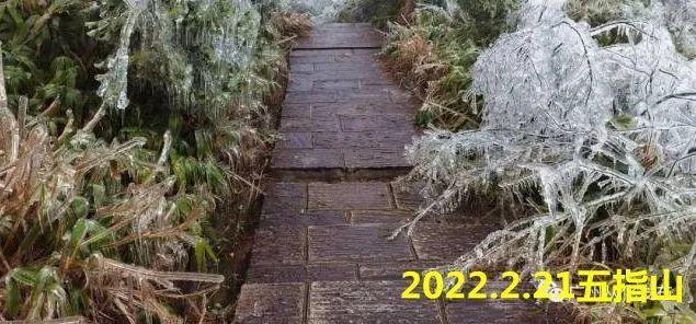 从化五指山下雪了吗?今天从化天气情况-图3 从化五指山下雪了吗?今天从化天气情况-图3
