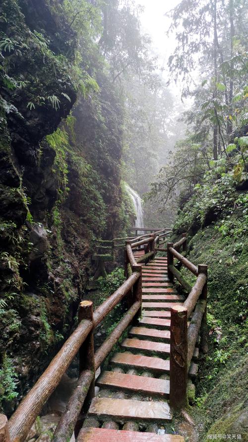 都江堰青城后山天气?青城后山天气情况-图1 都江堰青城后山天气?青城后山天气情况-图1