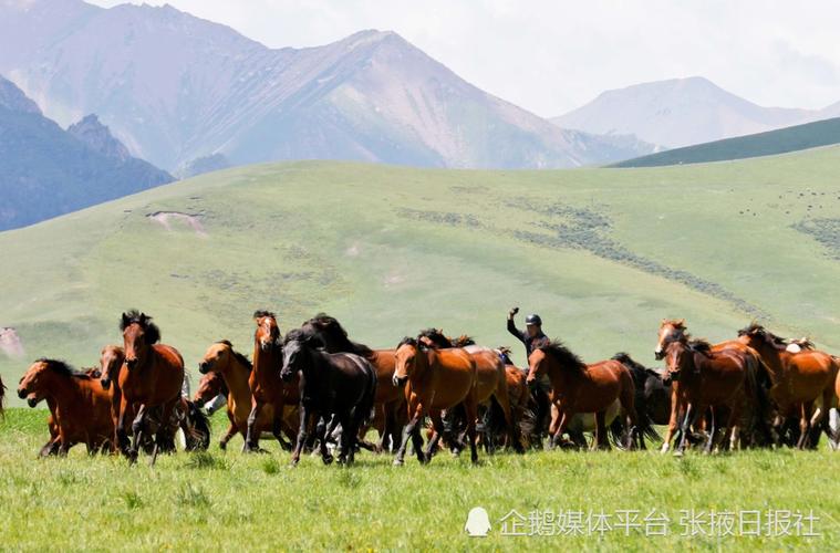 山丹马场自驾游攻略?山丹最近天气情况-图2 山丹马场自驾游攻略?山丹最近天气情况-图2