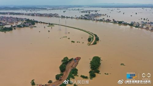鄱阳湖水位现在的水位?星子今日天气情况-图2 鄱阳湖水位现在的水位?星子今日天气情况-图2