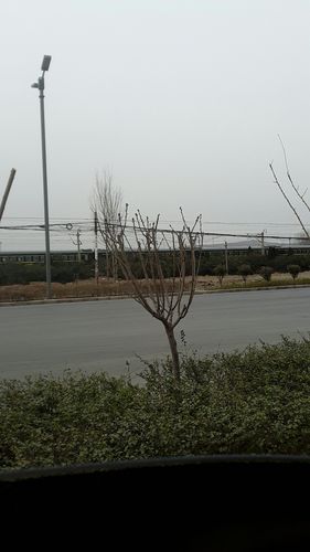 洛阳有哪些山可以夜爬?郾城区天气情况-图3 洛阳有哪些山可以夜爬?郾城区天气情况-图3