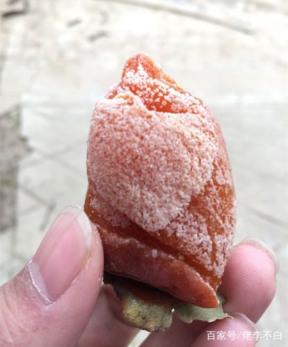 柿饼上霜多温度?渭南富平天气情况-图2 柿饼上霜多温度?渭南富平天气情况-图2