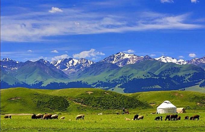 南山牧场温度多少?南山牧场天气情况-图2 南山牧场温度多少?南山牧场天气情况-图2