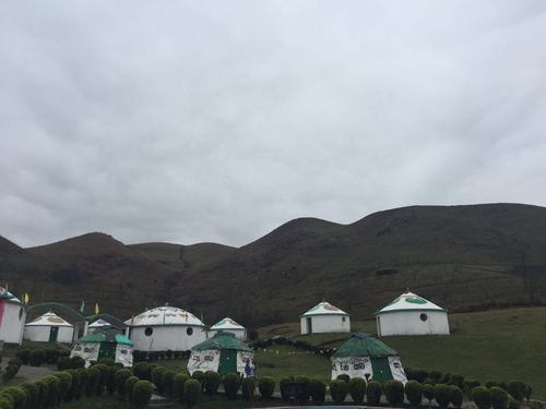 南山牧场温度多少?南山牧场天气情况-图3 南山牧场温度多少?南山牧场天气情况-图3