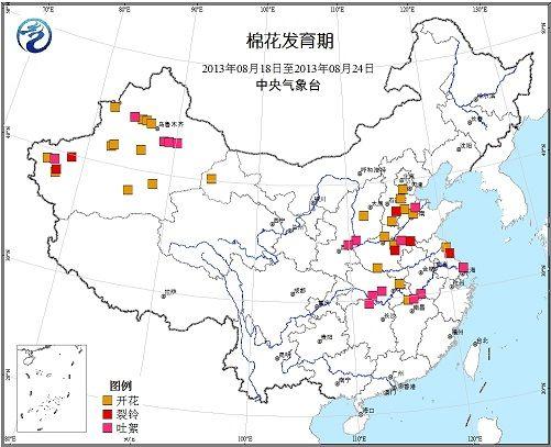 棉花的主要产地和成熟季节?棉花产区天气情况-图2 棉花的主要产地和成熟季节?棉花产区天气情况-图2