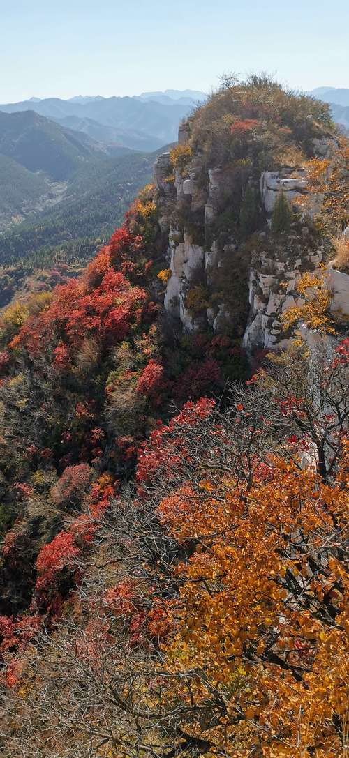 11月7号以后青州还有红叶看吗?青州天气情况介绍-图3 11月7号以后青州还有红叶看吗?青州天气情况介绍-图3