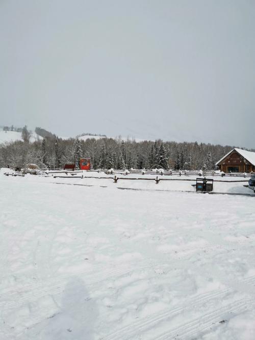 阿勒泰一般什么时候下雪?阿勒泰同期天气情况-图3 阿勒泰一般什么时候下雪?阿勒泰同期天气情况-图3