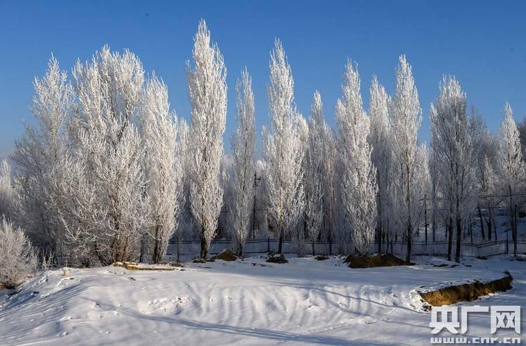 阿勒泰一般什么时候下雪?阿勒泰同期天气情况-图2 阿勒泰一般什么时候下雪?阿勒泰同期天气情况-图2