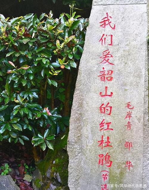 韶山的杜鹃什么时候开？湖南韶山天气情况