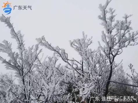 徐闻冬天适合过冬吗？徐闻冬季天气情况