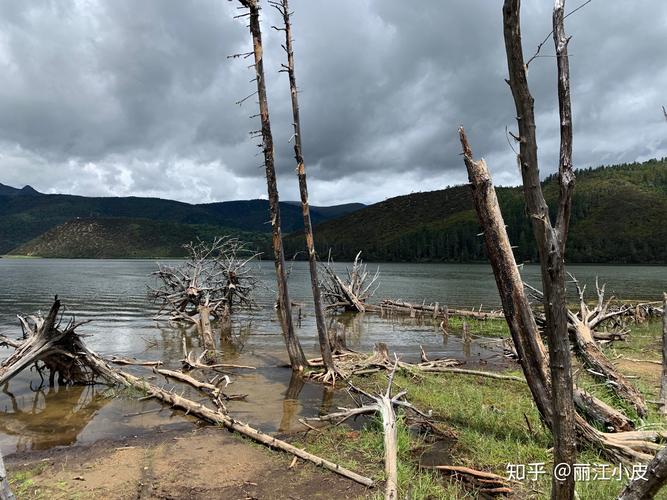 丽江小雨适合旅游吗?丽江最近天气情况-图1 丽江小雨适合旅游吗?丽江最近天气情况-图1