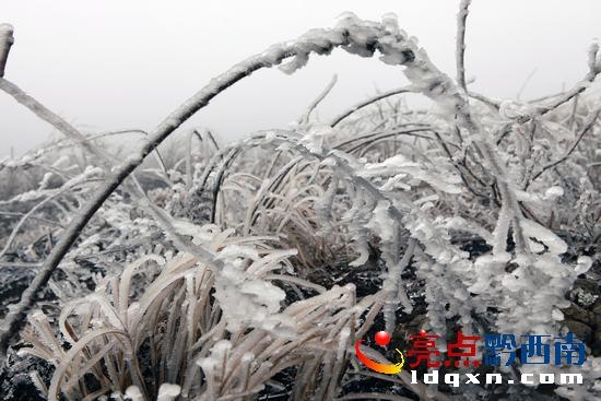 贵州冬季气候特点?贵州晴隆天气情况-图2 贵州冬季气候特点?贵州晴隆天气情况-图2