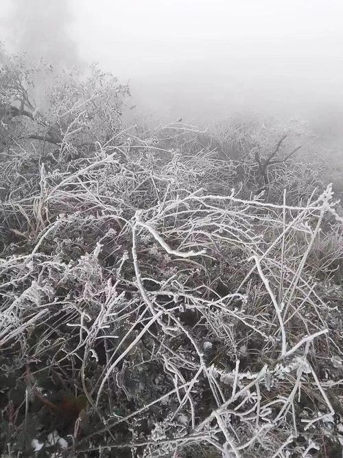 湖南郴州一月份有雪下吗？郴州冬季天气情况-图3