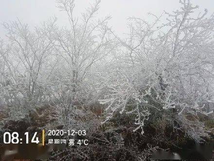 湖南郴州一月份有雪下吗？郴州冬季天气情况-图2