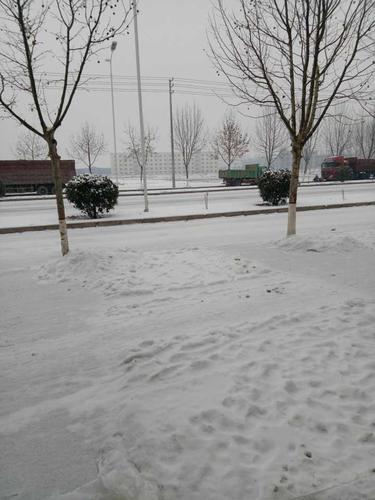 首尔下雪了吗?仁川的天气情况-图2 首尔下雪了吗?仁川的天气情况-图2
