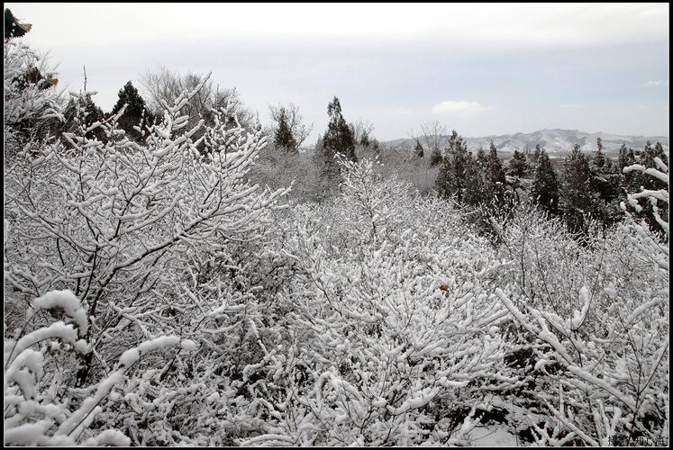 喀左有雪吗？喀左天气情况-图2