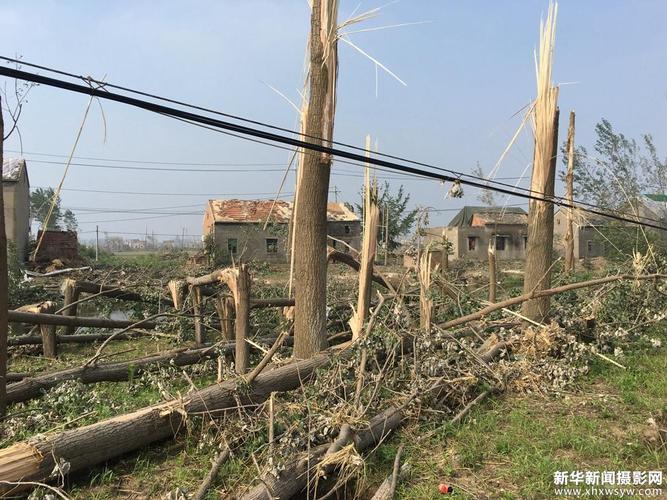 盐城阜宁台风死了多少人?阜宁现在天气情况-图2 盐城阜宁台风死了多少人?阜宁现在天气情况-图2