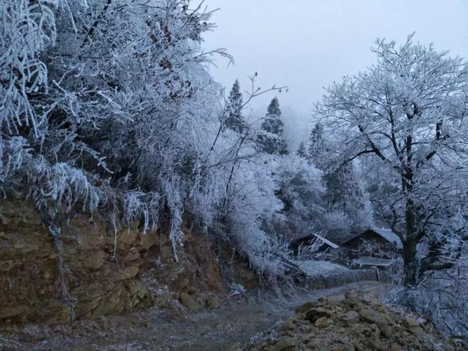 都匀什么时候下雪？都匀最近天气情况