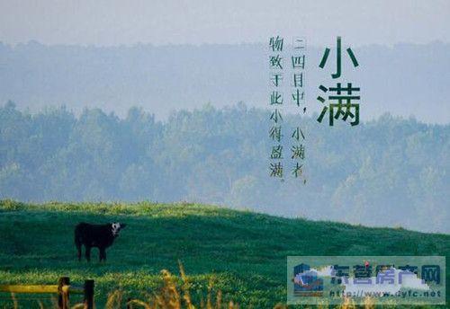 小满为啥还这么冷？小满的天气情况